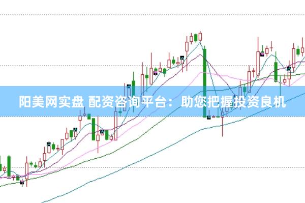 阳美网实盘 配资咨询平台：助您把握投资良机