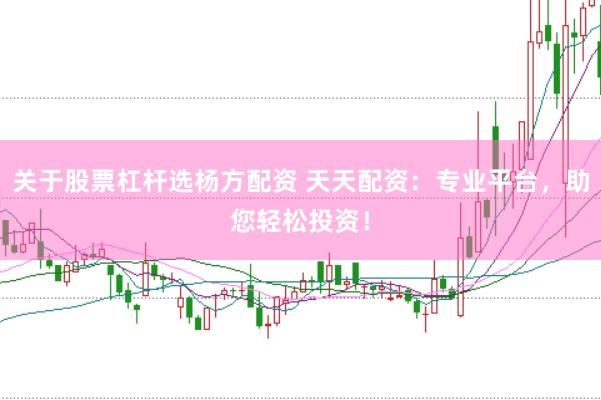 关于股票杠杆选杨方配资 天天配资：专业平台，助您轻松投资！