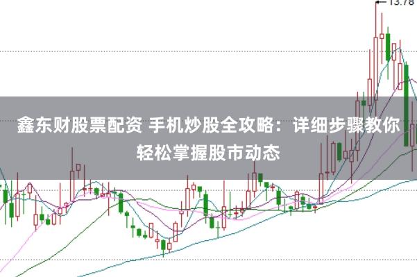 鑫东财股票配资 手机炒股全攻略：详细步骤教你轻松掌握股市动态